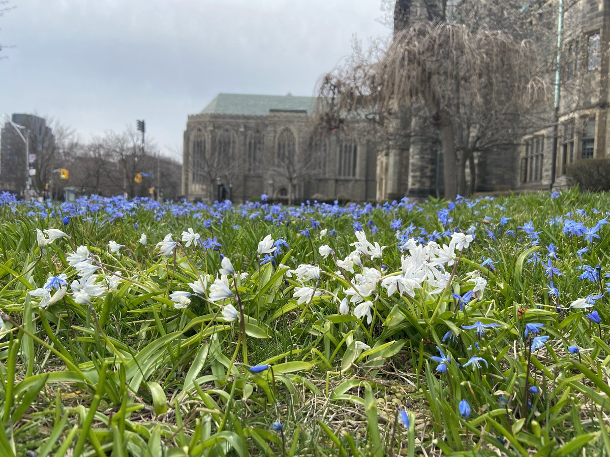 Trinity_College's tweet photo. 🌸 Spring has sprung 🌼
#SpecialSpacesAtTrinity https://t.co/ZsQux3g5ku