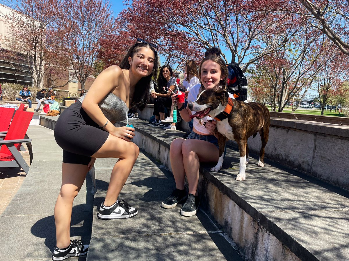 Juneau the socialite hanging out with the Livingston campus crew! #RutgersStrike
