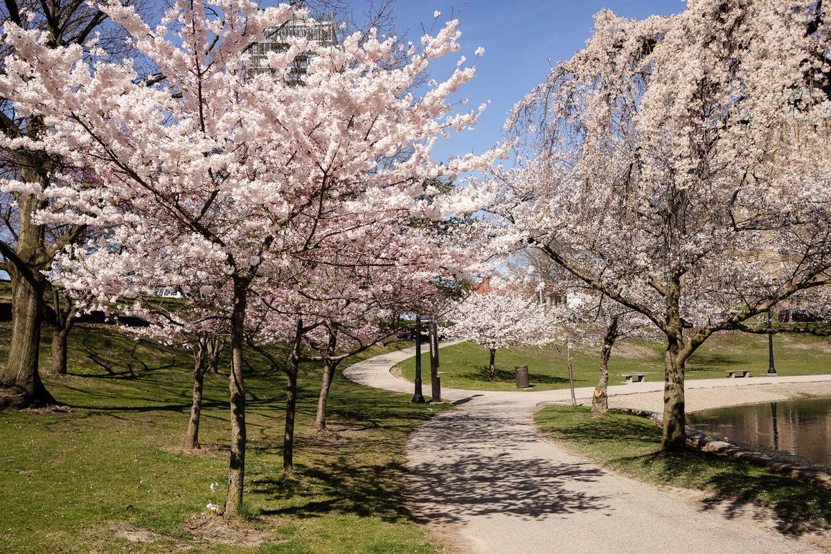 University Circle Inc. tweet media