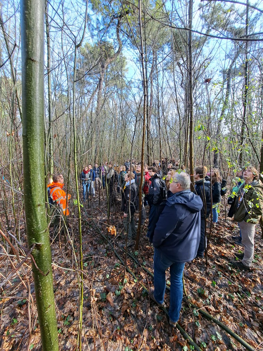 Vandaag hadden we studenten van Universiteit Gent op bezoek in demobos Volksabdij! Hier demonstreren we #klimaatslim #bosbeheer in de praktijk. Niet alleen delen we onze ideeën en ervaringen, maar de waardevolle feedback en discussies zijn ook weer input voor LIFE Climate Forest!