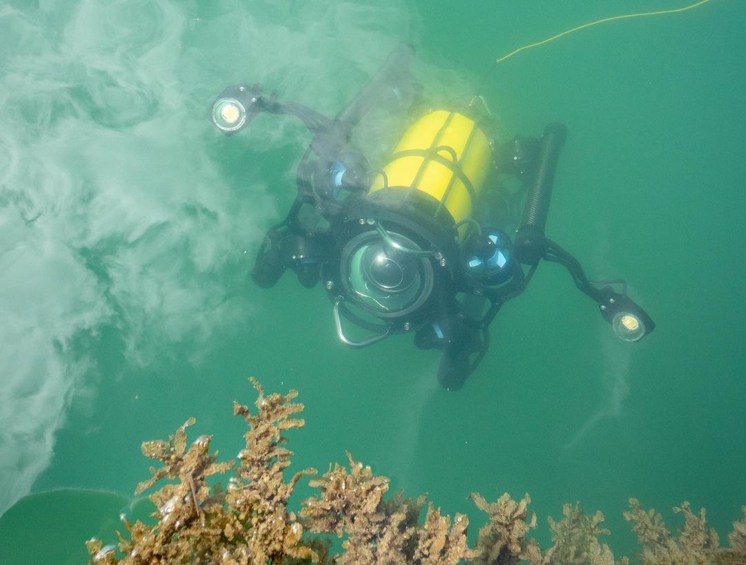 boxfishrobotics's tweet photo. Studying the #nzmarine environment can be challenging in remote locations so @niwa_nz uses innovative technology, including the #BoxfishROV, to support mapping, monitoring and assessment tasks. Visit the link to read more. https://t.co/WChxBmiEXU #marinescience #robotics https://t.co/uQIQLcgYRj