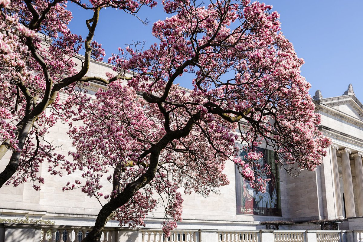 University Circle Inc. tweet media