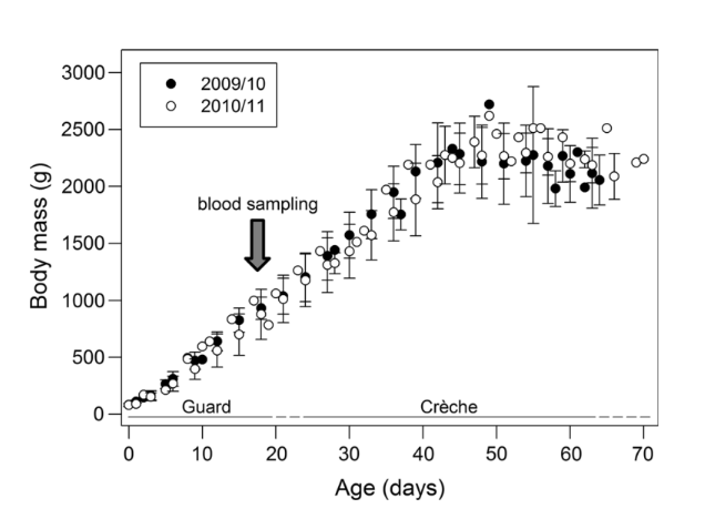 laurelscience's tweet photo. El segundo año tenía más clorofila a pero mayores distancias de alimentación y inmersiones menos profundas. Los datos de los isótopos mostraron diferencias significativas como en el primer año los pingüinos comieron más crustáceos y el segundo más calamares. #CCARE4 #Deh16 (3/4) https://t.co/oSjc5iWUq3