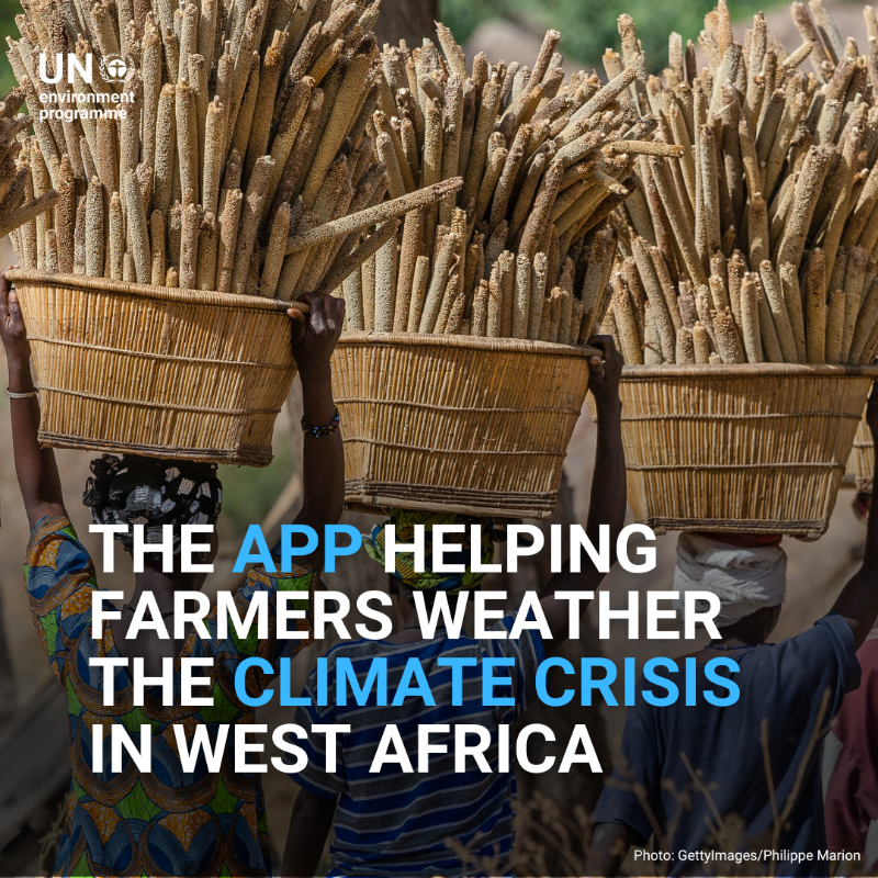 UNEP's tweet photo. The world's least developed countries, despite contributing little to the #ClimateCrisis, suffer the most from its consequences.

An app developed by @UNFCCC_CTCN &amp; @WeatherForce is aiding farmers in West Africa to adjust to a changing climate.