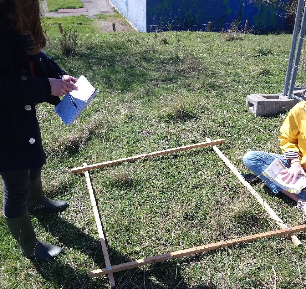 Maxtreiber's tweet photo. @LyceeChamplain devient le terrain de stage de Cyrielle et Emilie (L3Bio.Env.@FST_UPEC). On questionne l'effet de l'éco-pâturage sur flore &amp; faune du sol !🌿🕷️🐌Très heureux de les accueillir !🙏Formidable occasion pr faire des sciences et d'échanger avec les élèves.@eddcreteil https://t.co/shNQjySIa7