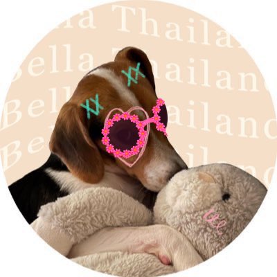 BELLA THAILAND♡ (𝓈𝓁ℴ𝓌) tweet media