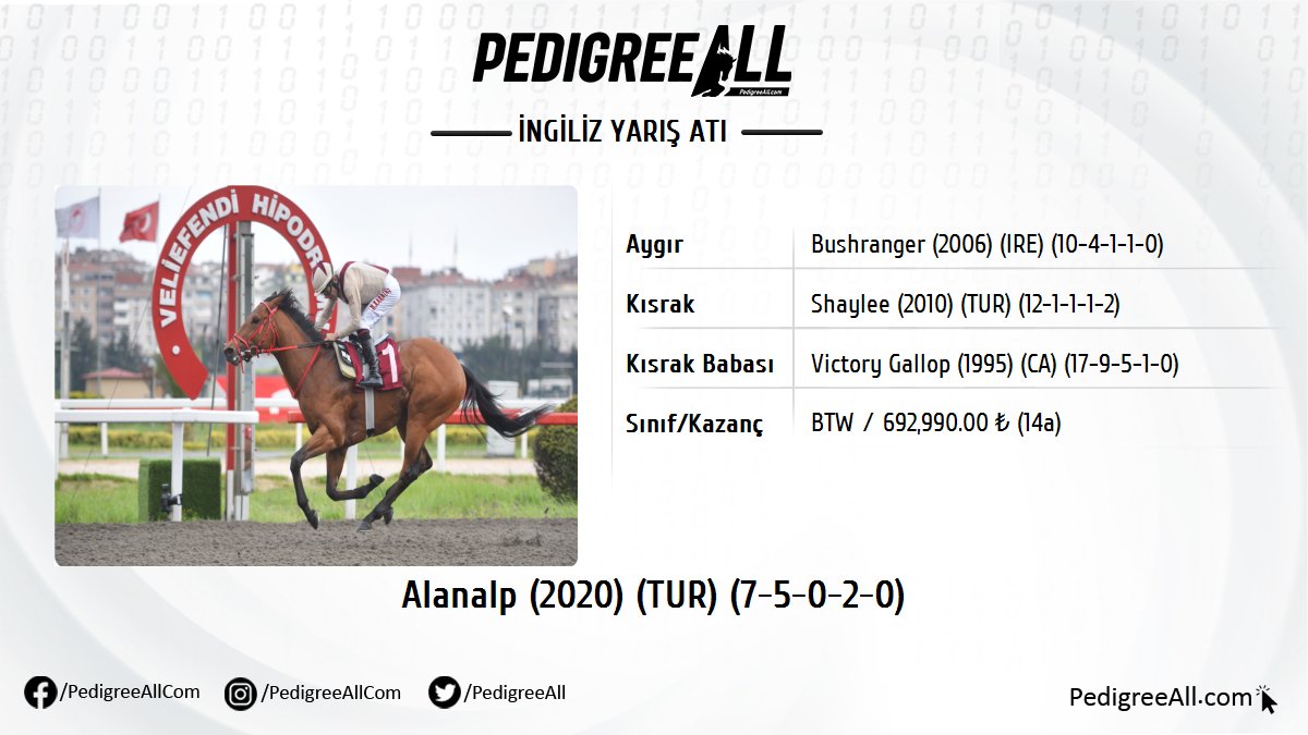İstanbul Veliefendi Hipodromu'nda startı verilen KV8 Ergin Talay Koşusu'nu ALANALP (by Bushranger) kazandı.

pedigreeall.com/alanalp-tur-20…