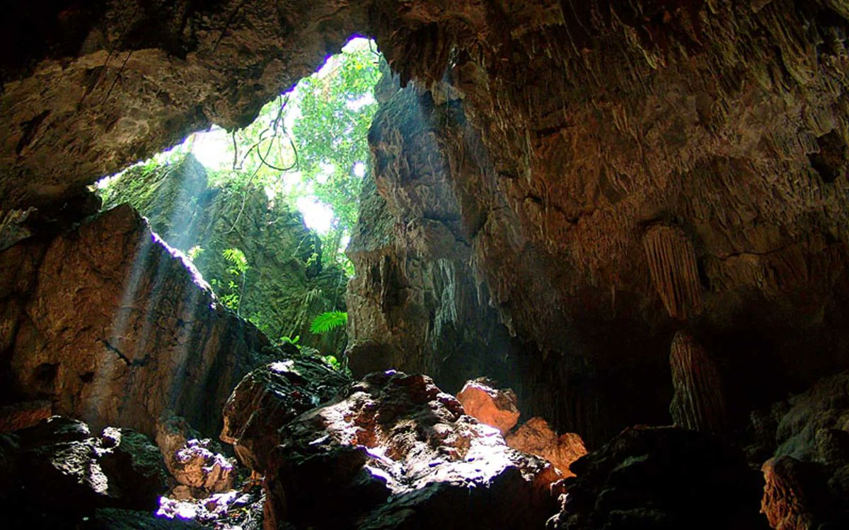 Si eres aventurero y amante de la naturaleza, no puedes dejar de conocer estos senderos subterráneos repletos de maravillas. ¡Conócelo!
buff.ly/3nYOaLg