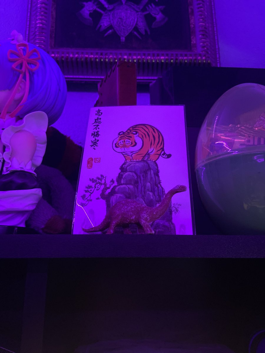 Luna 🌺 tweet media