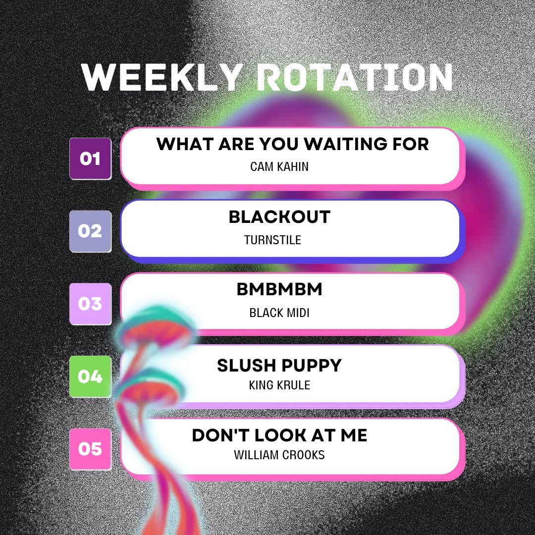 steadfastdnvr's tweet photo. Check out my #weeklyrotation this week! Hits from @KahinCam @TURNSTILEHC @willycrooks and more!
🍄 
#orchardambassador #whenitsallover #camkahin #blackmidi #kingkrule #turnstile #newmusic #rockmusic #alternativemusic #denver #hanni https://t.co/HWCrGUSSBK