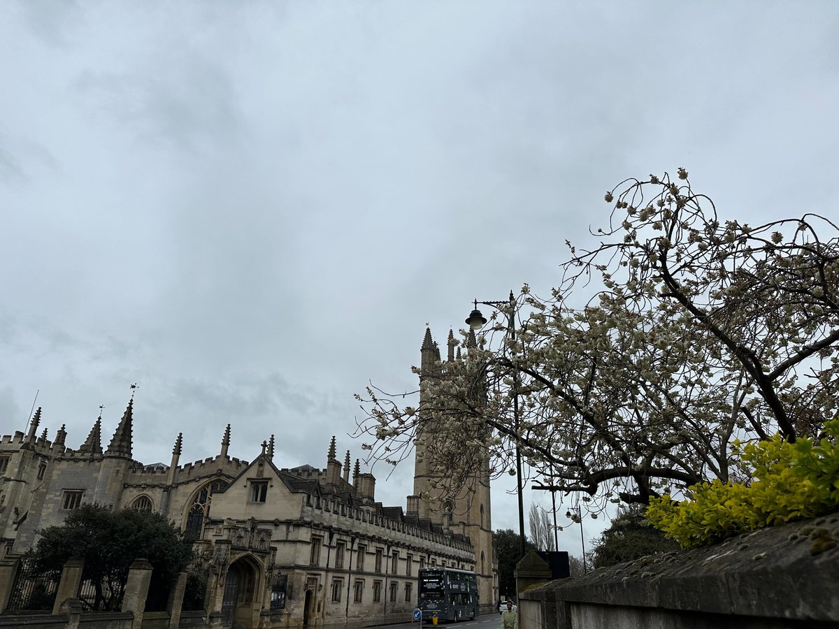 OneVoice's tweet image. Our ceo, @maraleedurrell , is thrilled to be back in Oxford at the first in person
@SkollFoundation World Forum in 4 years. As a Skoll Awardee organization, it is always inspiring to see this community of global changemakers grow and thrive #SkollWF