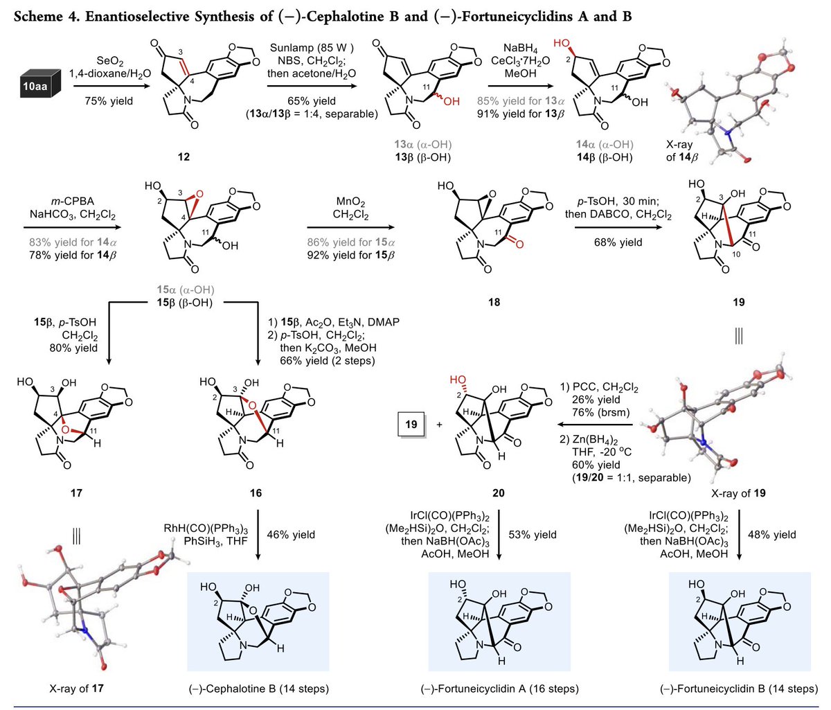 TotalSynthesis's tweet photo. Enantioselective Divergent #Syntheses of Cephalotaxus Alkaloids: (−)-Cephalotaxine, (−)-Cephalotine B, & (−)-Fortuneicyclidins A & B by X.-T. An, X.-M. Ge, X.-Y. Liu, Y.-H. Yang, X.-H. Zhao, X.-Y. Ma, C. Peng, Y.-J. Fan, Y. Qin, C.-A. Fan in @J_A_C_S https://t.co/0lxwGdVXlS https://t.co/vtalhjPSD7