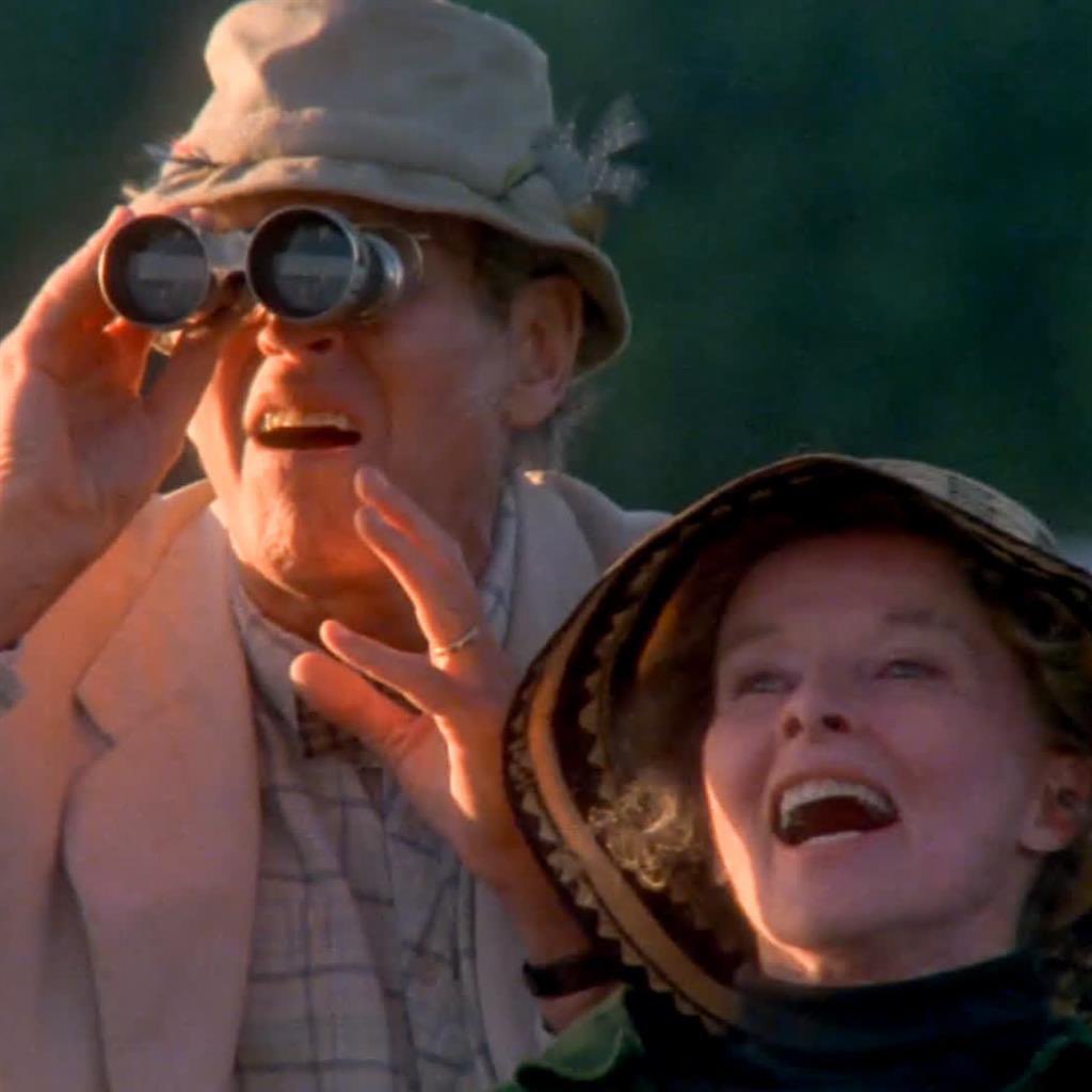 Ooh! My library just added a copy of James Paruk’s “Loon Lessons”! I wonder if one of my colleagues was thinking of me when they housed it here?…

austincc.ent.sirsi.net/client/en_US/d…