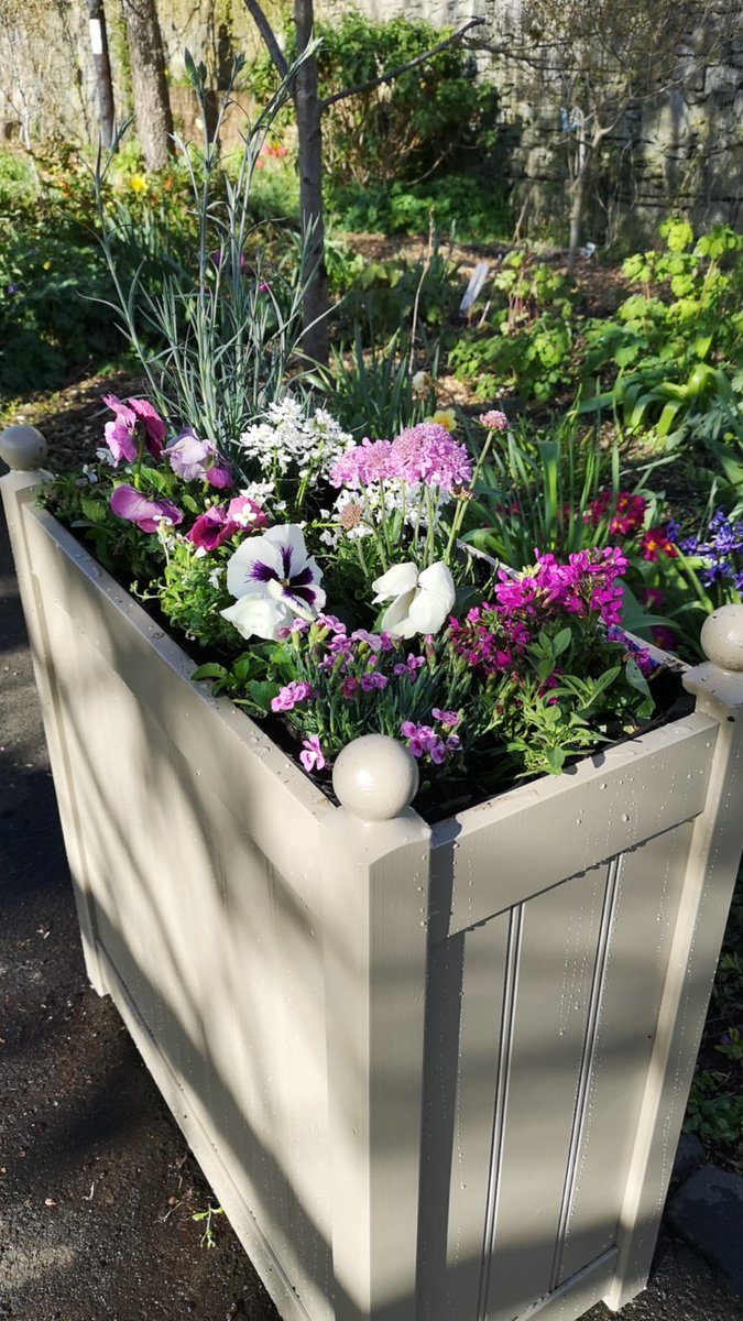StarbankPark's tweet image. Here’s our fabulous new planter @StarbankPark - looking beautiful in the spring sunshine. #springplanter #springpark #beautifulpark #placetowalk #parkwalks