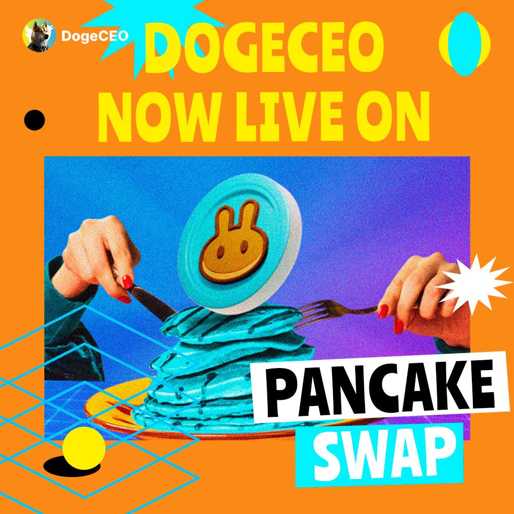 DOGE CEO tweet media