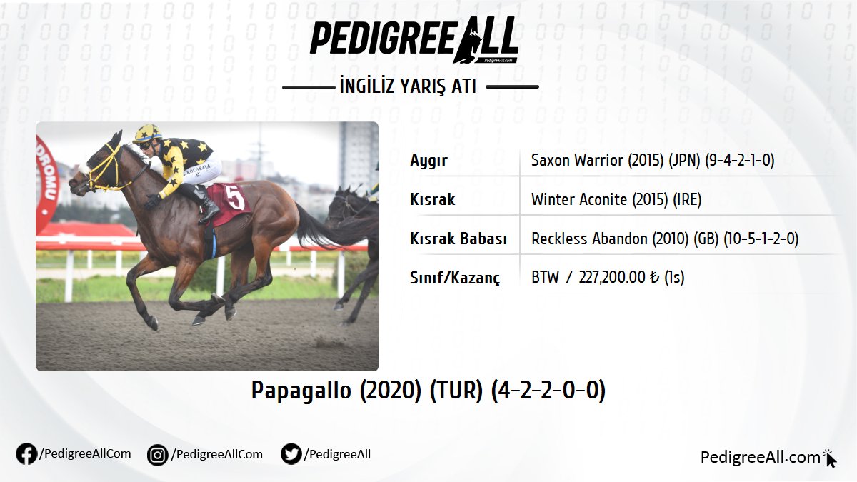 İstanbul Veliefendi Hipodromu'nda startı verilen KV18 Orhan Meker Koşusu'nu PAPAGALLO (by Saxon Warrior) kazandı.

pedigreeall.com/papagallo-tur-…