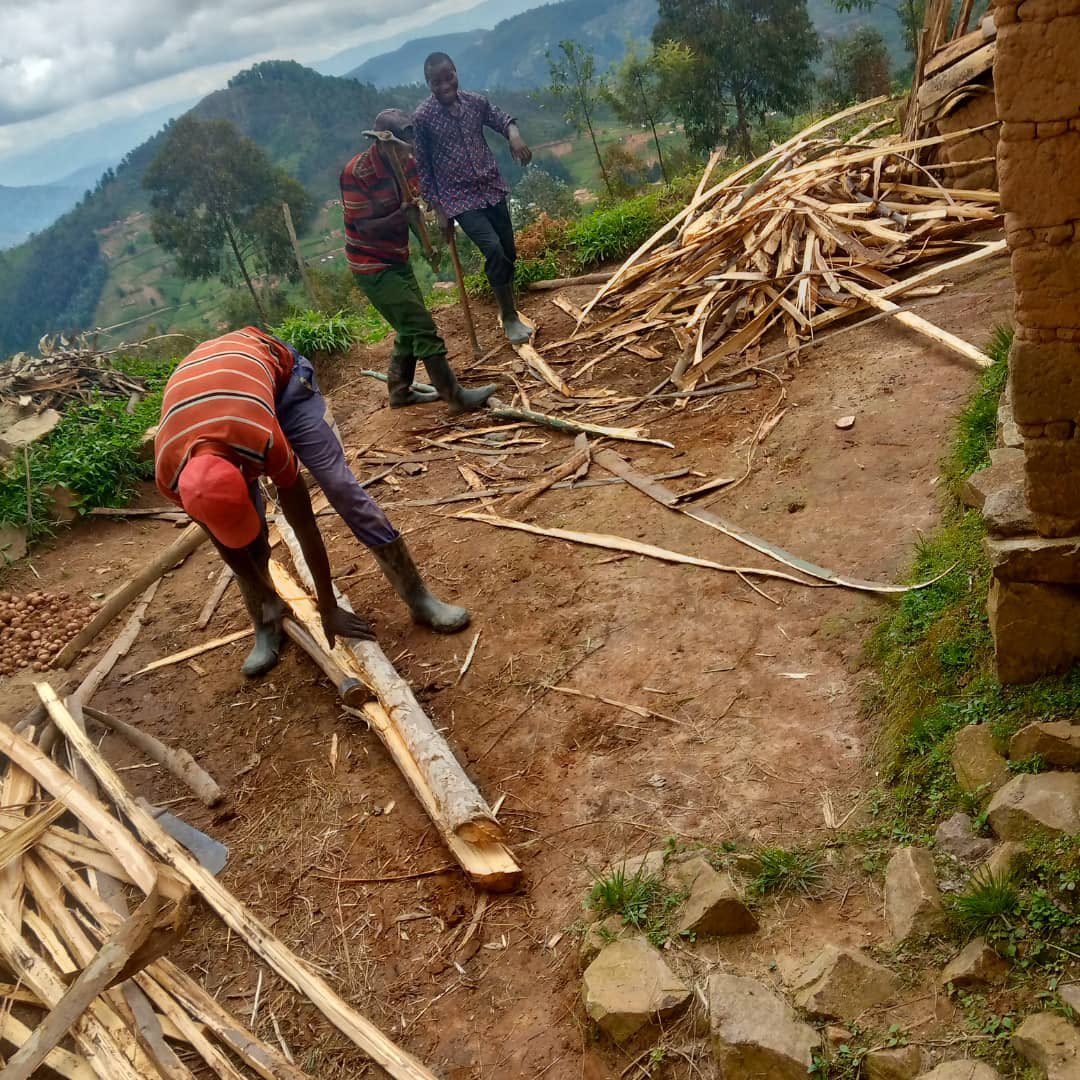 YouthNgororero's tweet photo. Muri  gahunda yo Kwibuka ku nshuro ya 29 @YouthNgororero Bwira Sector twagize igikorwa cyo gufasha umubyeyi KANSANGWA Belancille w'imyaka 68
Ibyakozwe:
Gutunda ibiti byo kubaka ikirāro cy'inka, Twashije inkwi turanazitunda, Gutunda ifumbire tuyijyana aho azahinga.@Unity_MemoryRw https://t.co/iy2q62OCDp