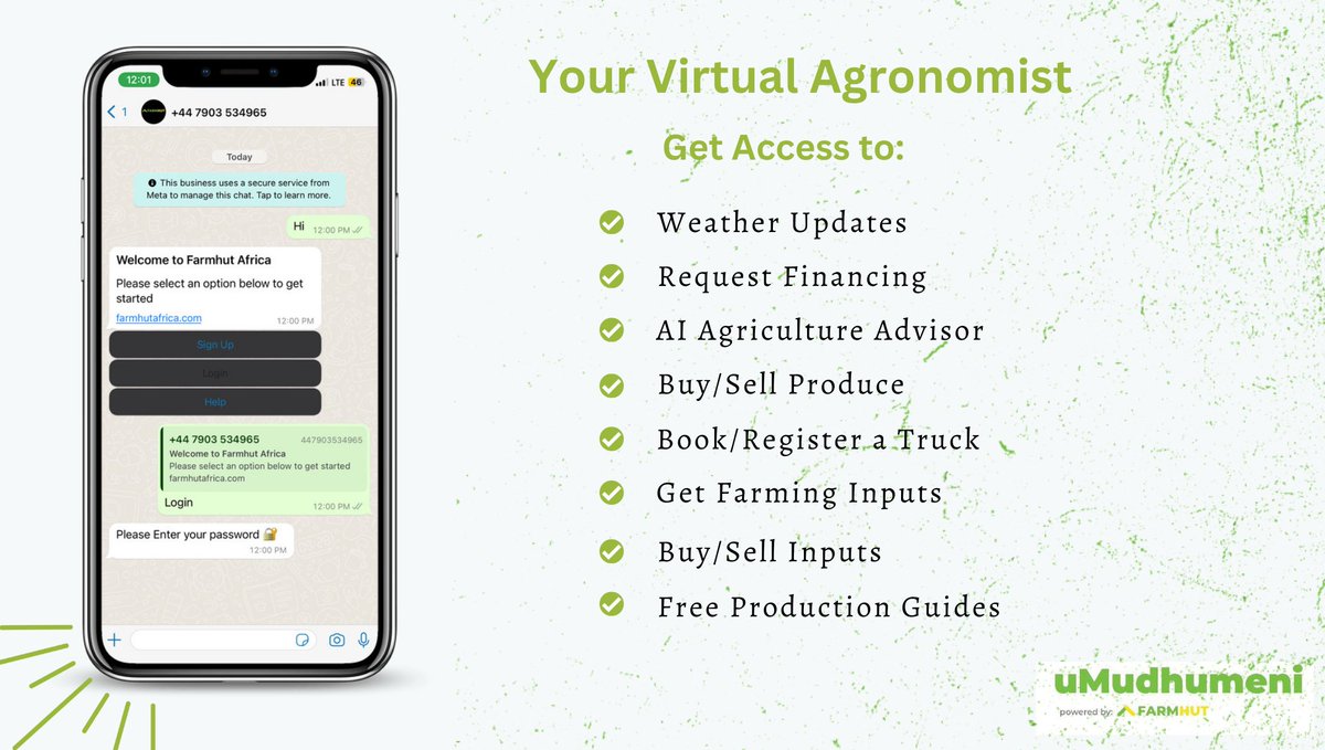 farmhutafrica's tweet photo. At Farmhut, we're dedicated to helping farmers succeed. That's why we've made significant improvements to our uMudhumeni WhatsApp bot, based on feedback from farmers like you. Follow @FarmhutBot for more.  Link: https://t.co/lSP7pT0lyU https://t.co/p2fsulelQa