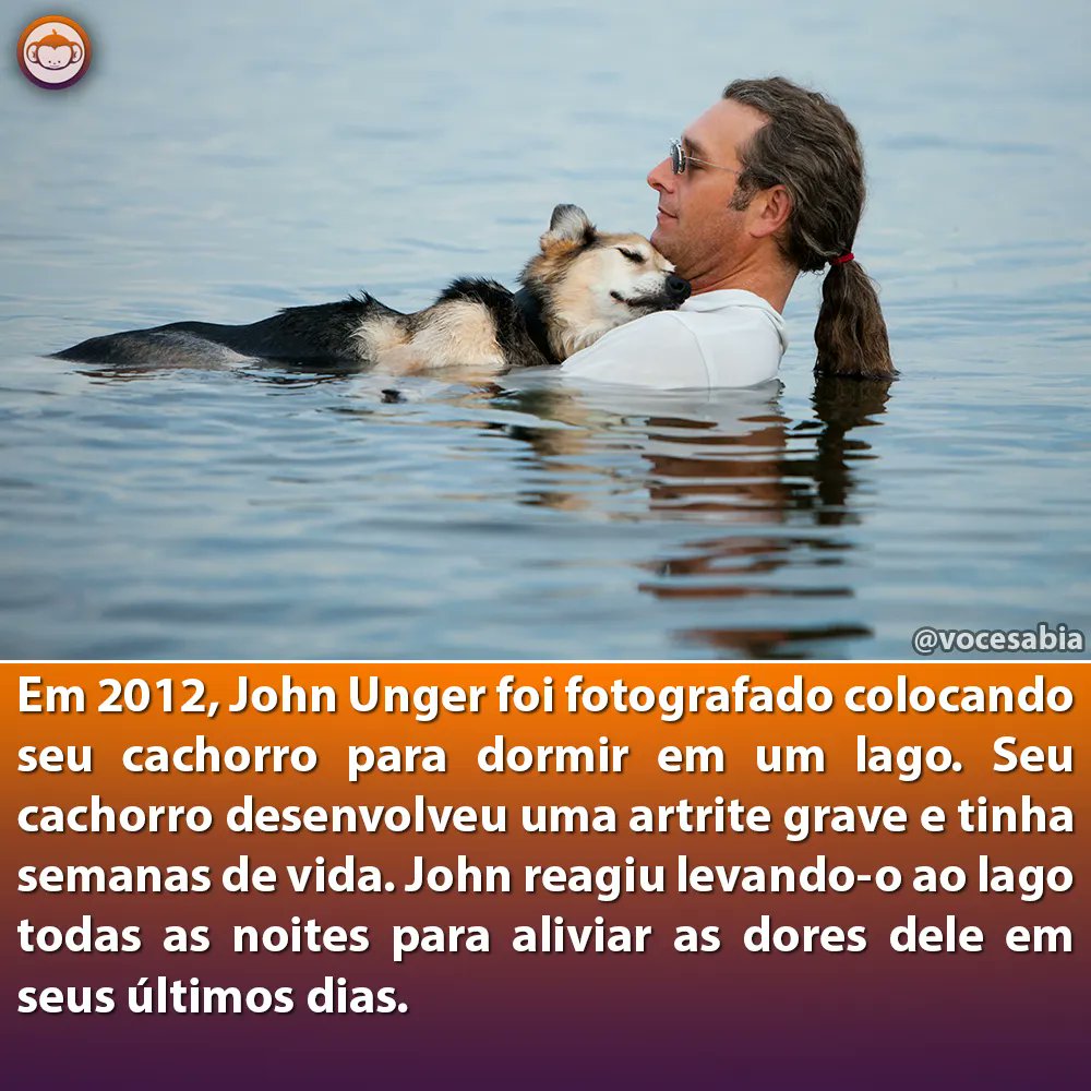 Você Sabia? (@vocesabia) on Twitter photo 