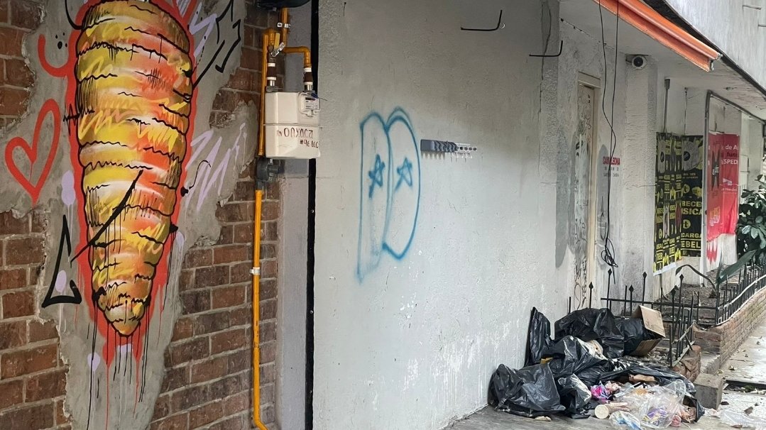 Lore18600443's tweet photo. @AlcCuauhtemocMx @SandraCuevas_ @COFEPRIS @PAOTmx la Tomperia Roma Norte en Av. Oaxaca 96 Col. Roma Norte, deja todos los días la basura tirada en el piso fuera del establecimiento mercantil en la calle de Colima, esto está provocando mayor cantidad de fauna nociva. https://t.co/mt6R0eZWxJ