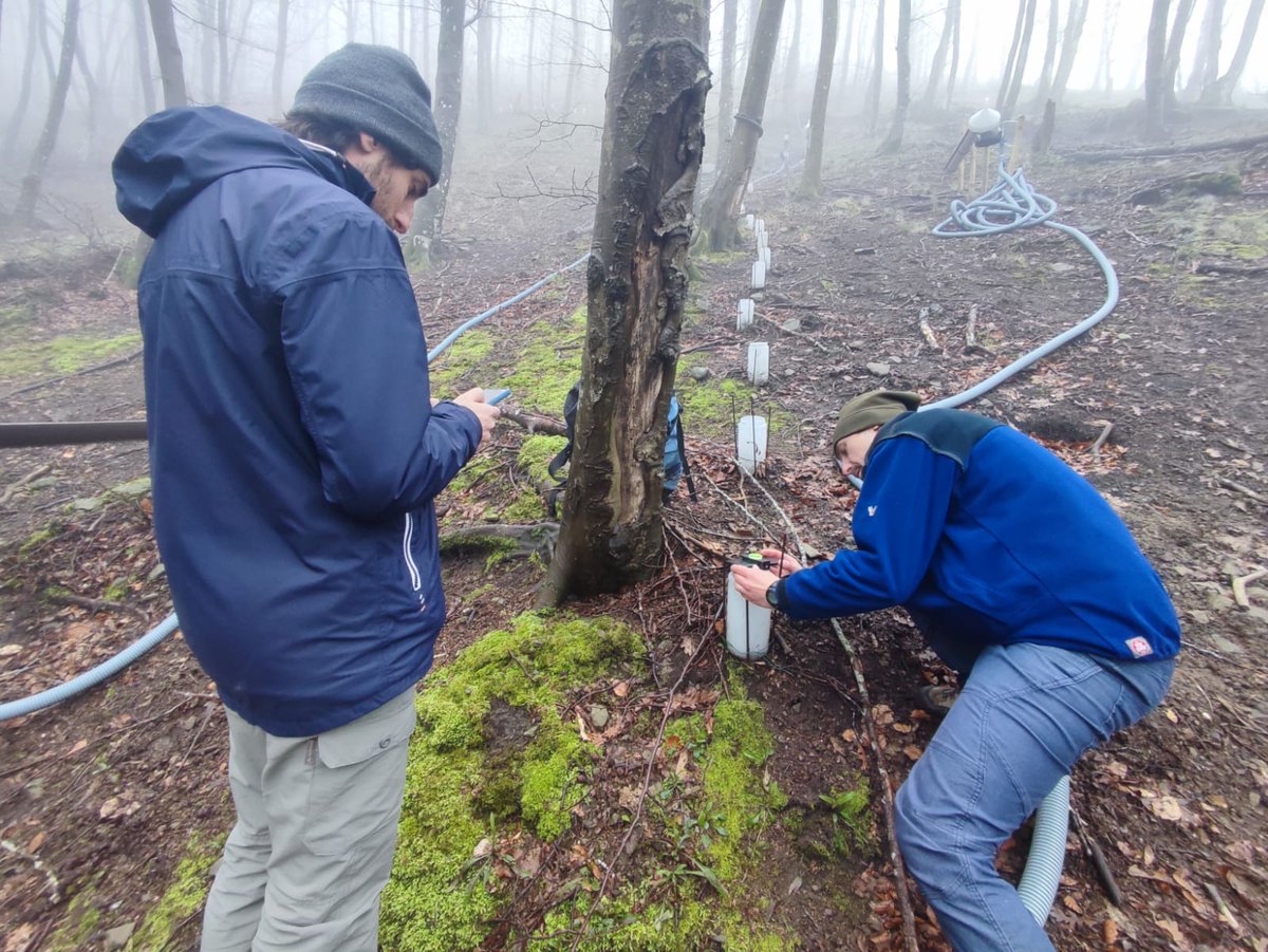 pennalp's tweet photo. Quick emispherical photography-derived #method for #canopy #cover quantification and relation to #throughfall in the Re della Pietra #experimental #mountain #catchment. @IljavM @Christi05356915 @DagriUnifi #forest #water #hydrology #ecology #precipitation #drought #climatechange https://t.co/LYWg1QyqXR