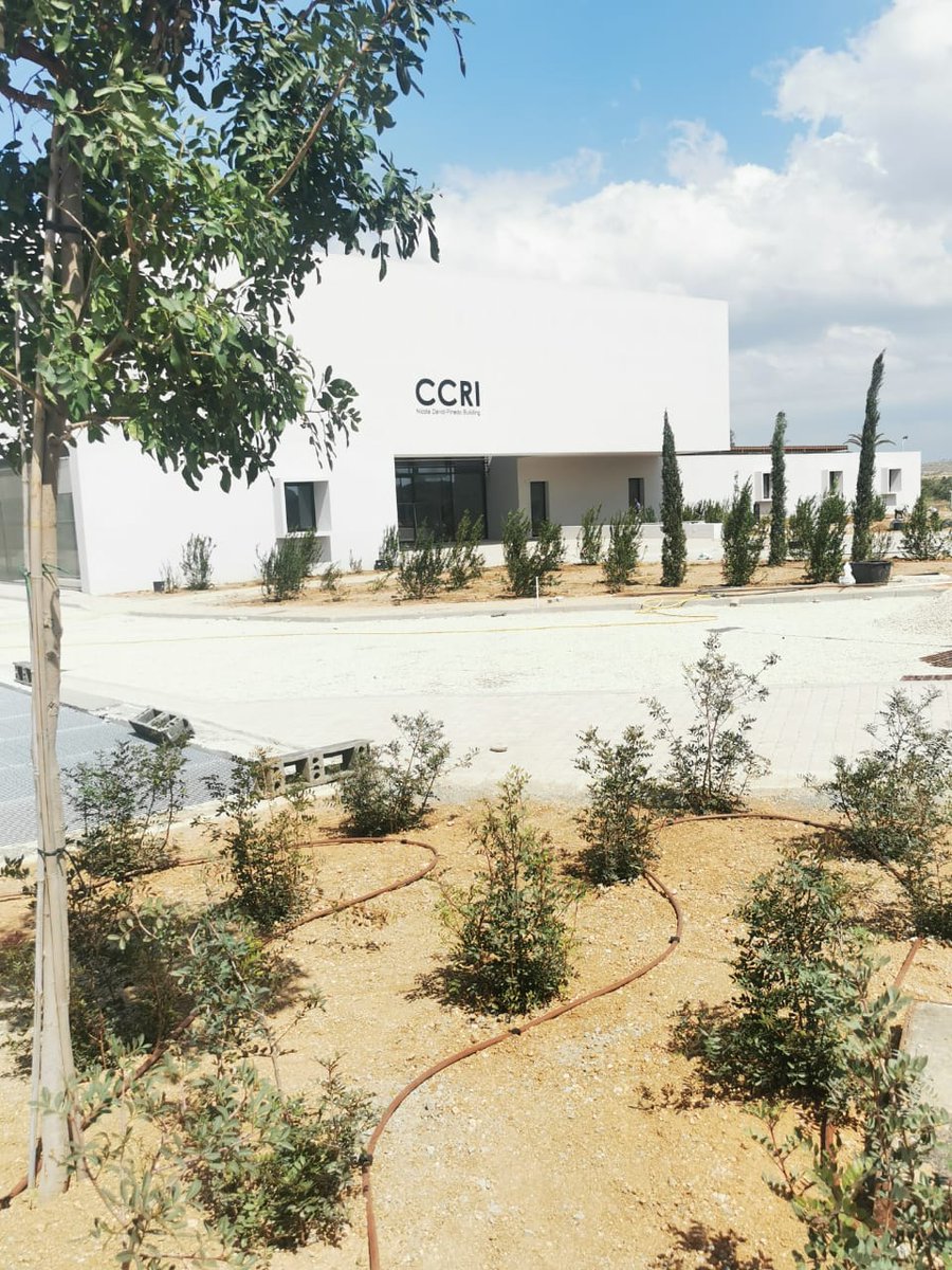 Έτοιμο το κτίριο του <a href="/CCRI17/">CCRI - Cyprus Cancer Research Institute</a> σε χρόνο ρεκόρ. Ο κήπος του επίσης έτοιμος. Σε λίγα χρόνια το κτίριο θα κρύβεται μέσα στο πράσινο και θα φιλοξενεί γενιές ερευνητών.