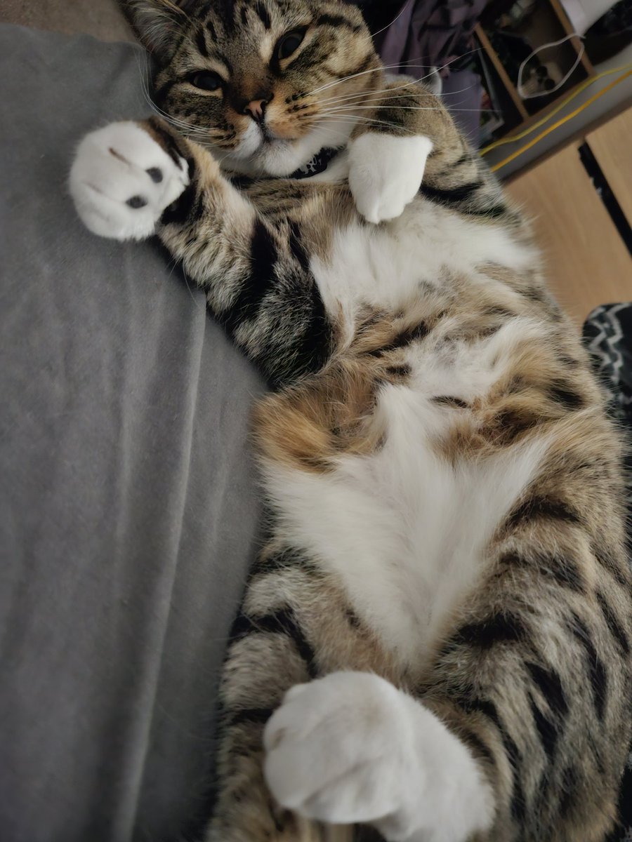 BeatInMyBones tweet media