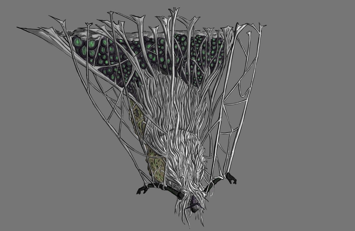 peluca_art's tweet photo. Creature desing for my project. The Queen 👑
#creaturedesign #characterdesign #conceptart #artwork #artistsontwitter https://t.co/Lamq52pgZo