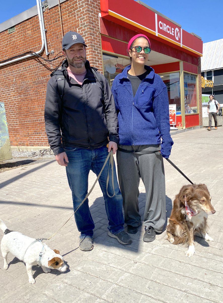Wellington_West's tweet photo. Q: Who let the dogs out?
A: Everyone in Hintonburg...
Today...
Apparently.
#WarmUpSeason #WellingtonWest https://t.co/UQKbY4lk4T