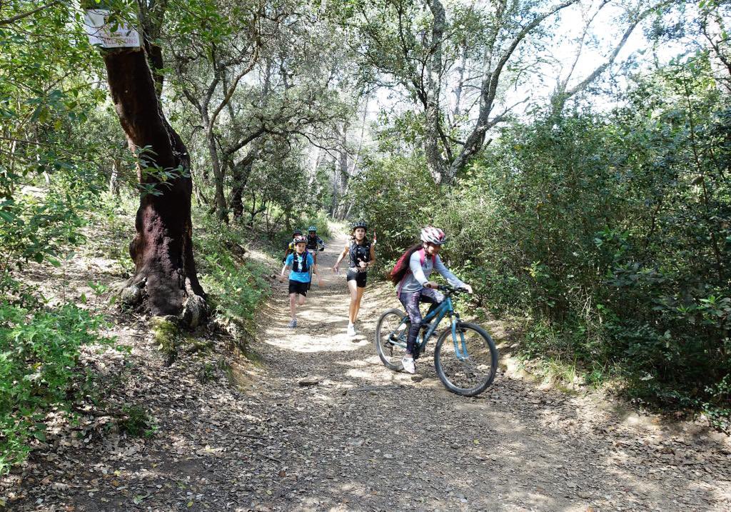 AS PEIRESC 83 (@aspeiresc) on Twitter photo Super raid organisé par le collège Le Fenouillet.
Run and Bike, trail et CO! un site génial et une belle organisation!!
Lila et Coline remporte le classement scratch!
<a href="/Unss_Nice/">Unss Academie Nice</a> <a href="/UnssVar83/">UNSS Var 83</a> Super raid organisé par le collège Le Fenouillet.
Run and Bike, trail et CO! un site génial et une belle organisation!!
Lila et Coline remporte le classement scratch!
<a href="/Unss_Nice/">Unss Academie Nice</a> <a href="/UnssVar83/">UNSS Var 83</a>