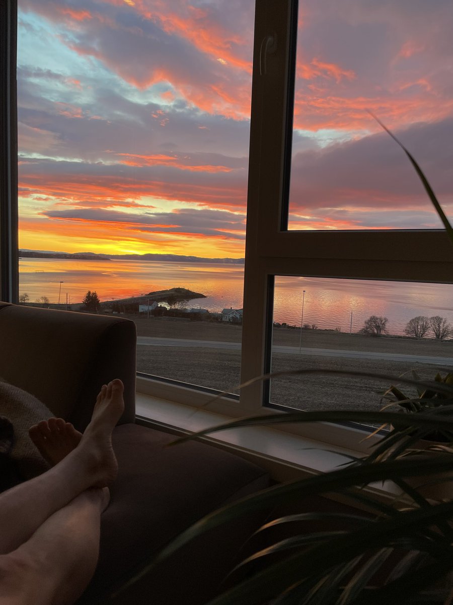 William Freihow tweet media