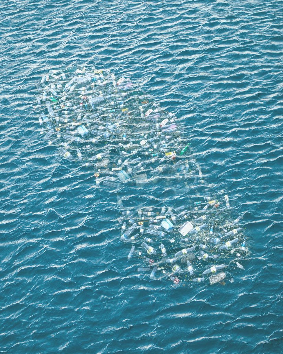 Offset your plastic footprint 👣 

Sign up for our new Plastic Offset Program today and have a positive impact on plastic pollution for as little as $10 a month ➡️ bit.ly/3Ka6ybs

🎨: @displaymind