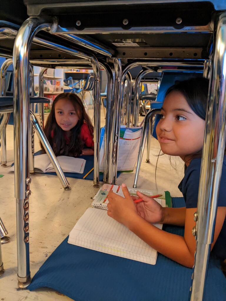 Dr. Nikol Youngberg tweet media