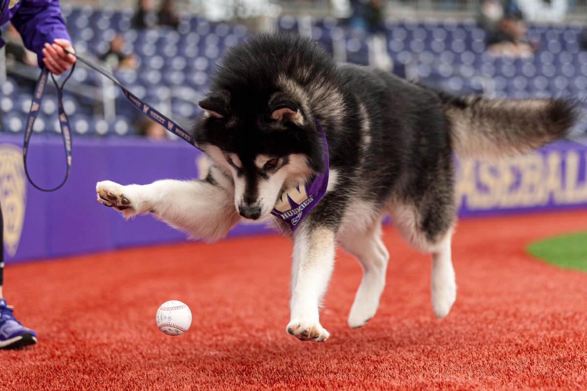 UWAthletics tweet picture