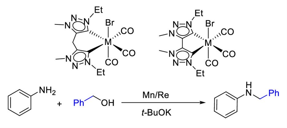 Organometallics (@orgmet_acs) on Twitter photo Bis-Triazolylidenes of Manganese and Rhenium and Their Catalytic Application in N-Alkylation of Amines with Alcohols, from <a href="/BeatrizRoyo_Lab/">Beatriz Royo</a> pubs.acs.org/doi/10.1021/ac…. Part of our upcoming Very Special Issue "Advances and Applications in Catalysis with Earth-Abundant Metals" Bis-Triazolylidenes of Manganese and Rhenium and Their Catalytic Application in N-Alkylation of Amines with Alcohols, from <a href="/BeatrizRoyo_Lab/">Beatriz Royo</a> pubs.acs.org/doi/10.1021/ac…. Part of our upcoming Very Special Issue "Advances and Applications in Catalysis with Earth-Abundant Metals"