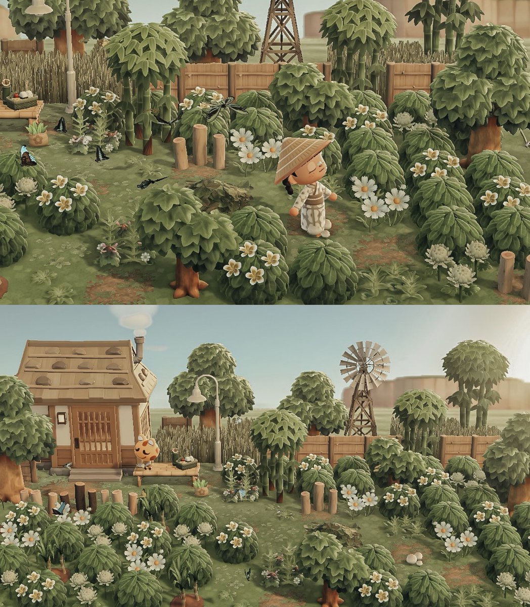 a butterfly garden for croque🌿

#acnh #animalcrossing #acnhinspo