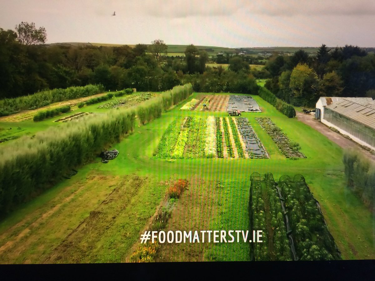 Just catching up on last week’s @mickkellygrows #FoodMattersTV. What a great series! Watch the first two episodes looking at soil health and eating seasonally on @RTEplayer. The third programme, about food pollution is on @RTEOne tonight at 8.30pm.