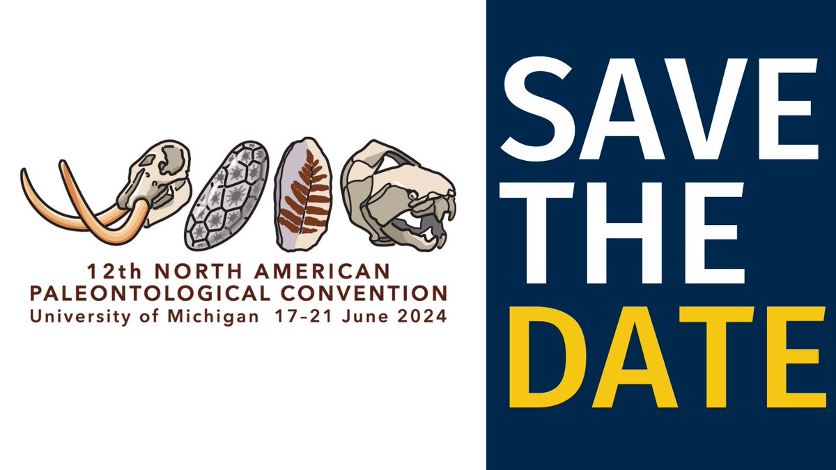 Hold on to your fossils! The 12th North American Paleontological Convention will be taking place June 17-21, 2024 at the University of Michigan, Ann Arbor. Be sure to mark your calendars and stay tuned as more information is to come!

#napc2024 #paleo #UofM #paleontology #fossils