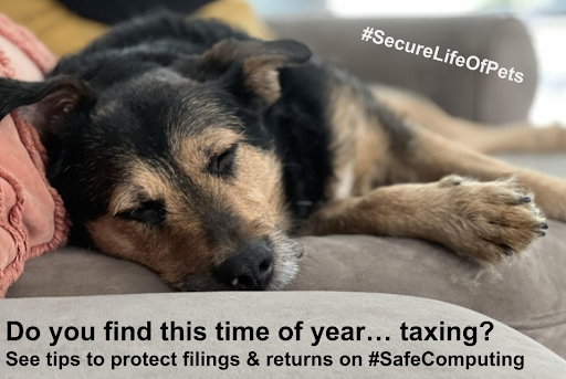 umichTECH's tweet photo. Filings and returns can be taxing enough, be sure to avoid frauds and scams targeting you this tax season! https://t.co/vhf4iPvbo9 #SecureLifeOfPets #Taxes https://t.co/N2qMcj75WK