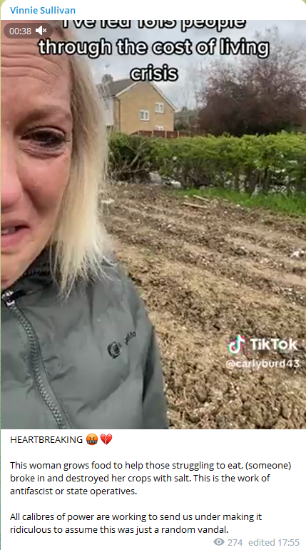 DrMarianaClaire's tweet photo. And there you go folks. #VinnieSullivan aka #TheRealityReport aka #NoBallsNoShow blaming antifascists for Carly'ss allotment being destroyed. He is also so heartbroken he couldn't share teh link to her GoFundMe either. https://t.co/B18pXpGyLj