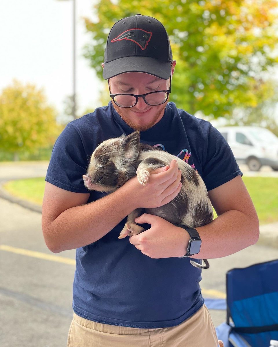 DoctorDal_DVM's tweet photo. ISO anyone interested in or that has experience with grant writing. The non profit farm animal sanctuary I work with is looking for one, pics of some of the animals for tax ❤️ https://t.co/ReZ3yh9bbl