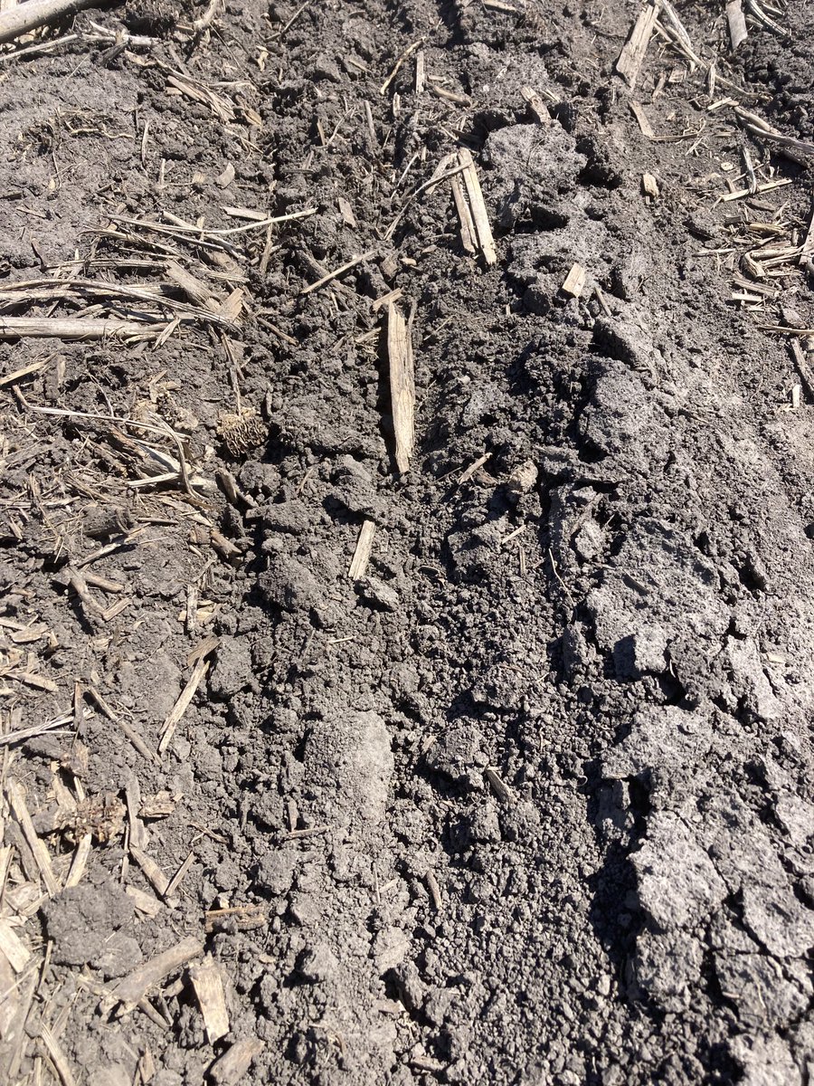 First AgriGold plot planted in N. IL just south of Quad Cities. The warmest and best soil conditions this early in a long time. ⁦<a href="/AgriGold/">AgriGold</a>⁩ #plant23