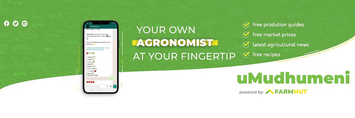 FarmhutBot's tweet photo. We understand the challenges that farmers face, and we're committed to providing solutions. That's why we've made significant improvements to uMudhumeni, our WhatsApp bot that puts the power of technology in your hands. Try it out!

Link: https://t.co/v2UFyOJhGZ https://t.co/yewflQnYR5