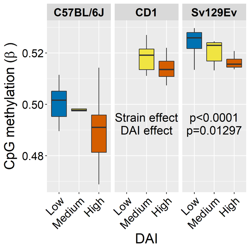 Very happy to share our paper @PNASnews

Using a lifelong social stress protocol, we identified genetic background and social status as determinants of healthspan, DNAmethylation and lifespan in mice.   Relevance for health #disparity and biological age.
pnas.org/doi/10.1073/pn…