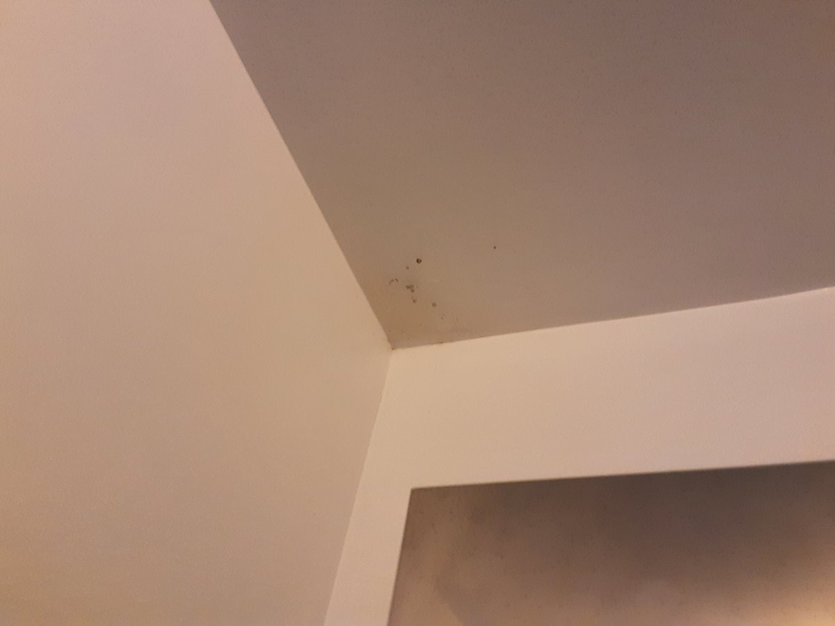 valie_78's tweet photo. 3 ans de bataille toujours pas de solution pour mes nombreux problèmes du à un travail de merde!! C baclé,nous vivons dans un logement limite insalubre j’ai du moisi dans plusieurs pièces des infiltrations soit disant réparée sauf que c pire après la réparation!!! https://t.co/2ZFXbCNPXA