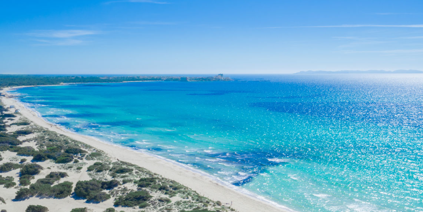 AutosVima's tweet photo. Summer is here! Now we all can enjoy Mallorca's longest beach! Es trenc is 7 km long and 35 m wide! It's an all natural beach with crystal clear water and white sand! https://t.co/5ZDcH6AjLV…#mallorca #beach #vima #rentacar #sun #life #ocean https://t.co/jYFKD2mlqP