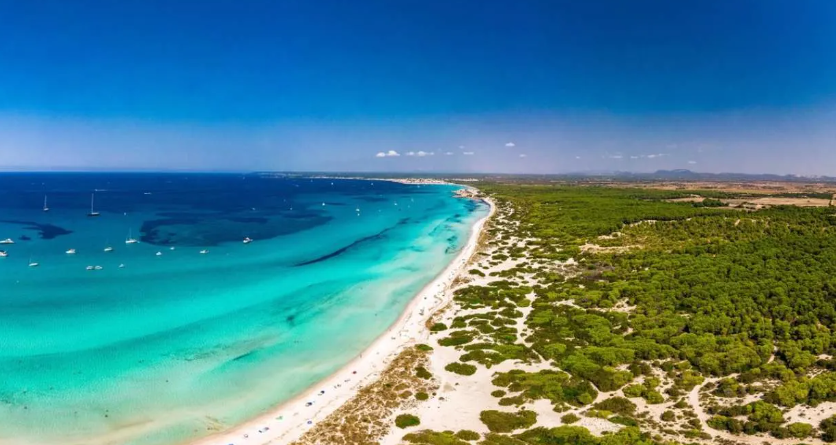 AutosVima's tweet photo. Summer is here! Now we all can enjoy Mallorca's longest beach! Es trenc is 7 km long and 35 m wide! It's an all natural beach with crystal clear water and white sand! https://t.co/5ZDcH6AjLV…#mallorca #beach #vima #rentacar #sun #life #ocean https://t.co/jYFKD2mlqP