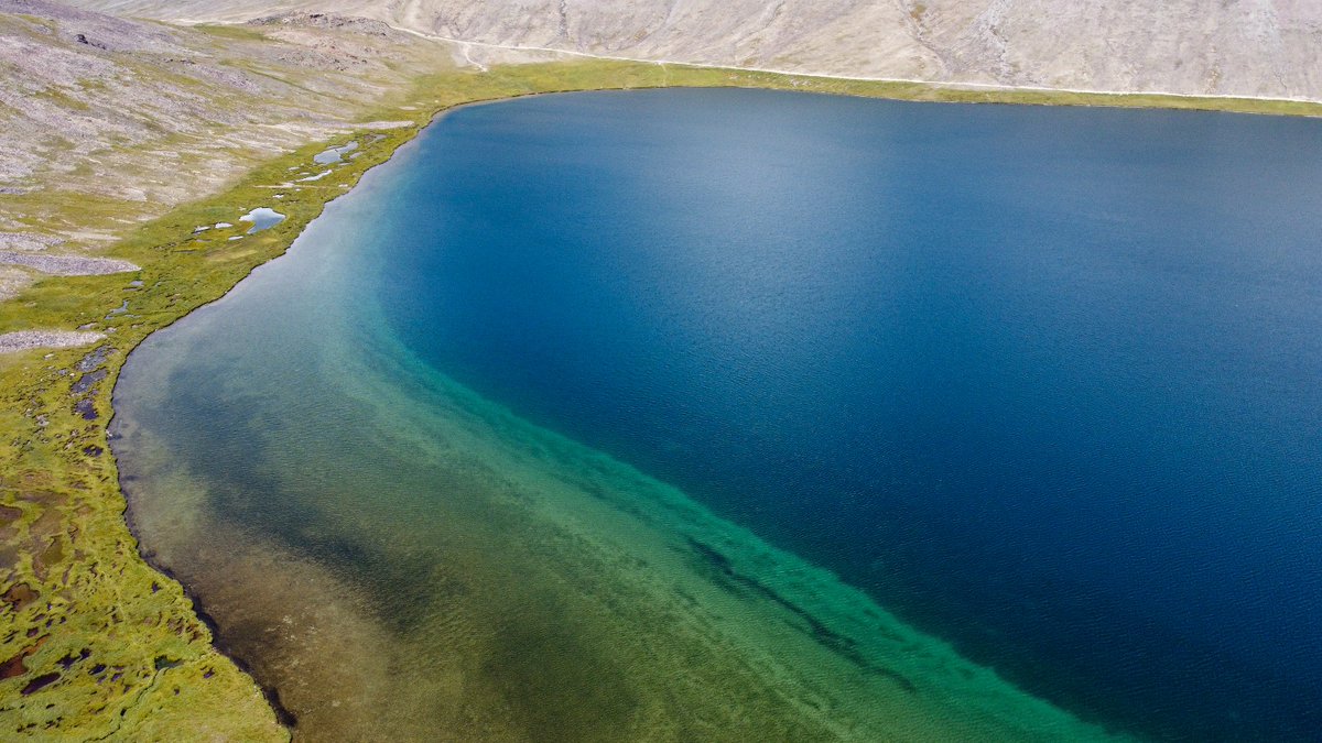 EcoVibeExplorer's tweet photo. Different colors of Sheosar, an alpine lake situated at the western end of Deosai National Park, Gilgit Baltistan, Pakistan. 

Credits: @BakhatNasr 

#RediscoverPakistan #DestinationPakistan https://t.co/zZ6uvTFfqV