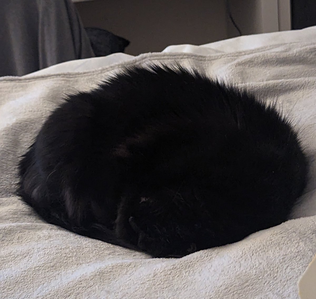 I believe I may have come across a black hole. I am also observing some kind of vibrating coming from within the perfectly round void. Should I be worried?