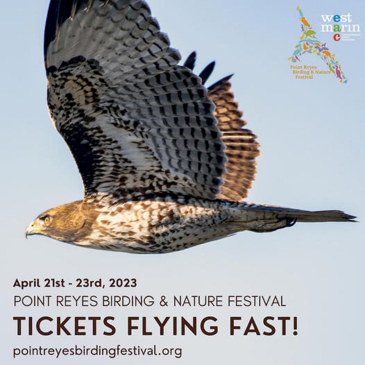 Marin Convention & Visitors Bureau tweet media